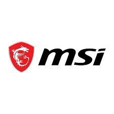 Завесы, петли MSI
