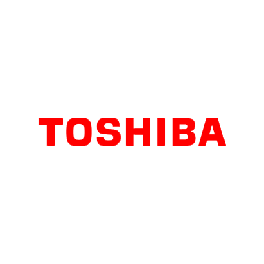Завесы, петли TOSHIBA
